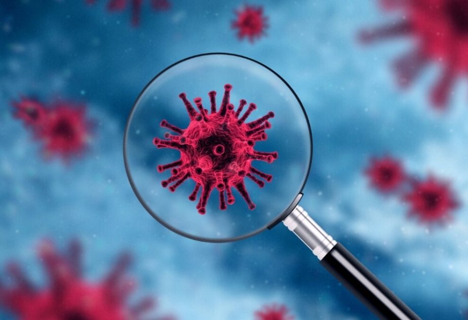Британский вариант коронавируса обнаружен в 70 странах