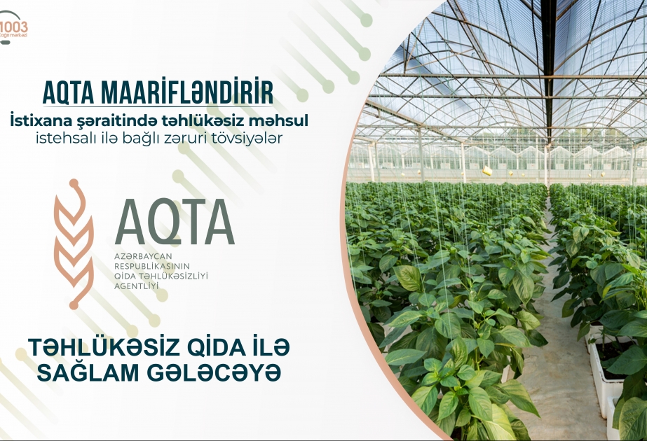 İstixana şəraitində təhlükəsiz məhsul istehsalı ilə bağlı zəruri tövsiyələr