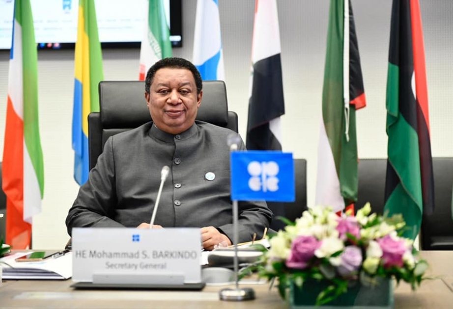 OPEC-in Baş katibi: Cari ilin neft tələbatı baxımından yaxşı il olacağına ümid edirik