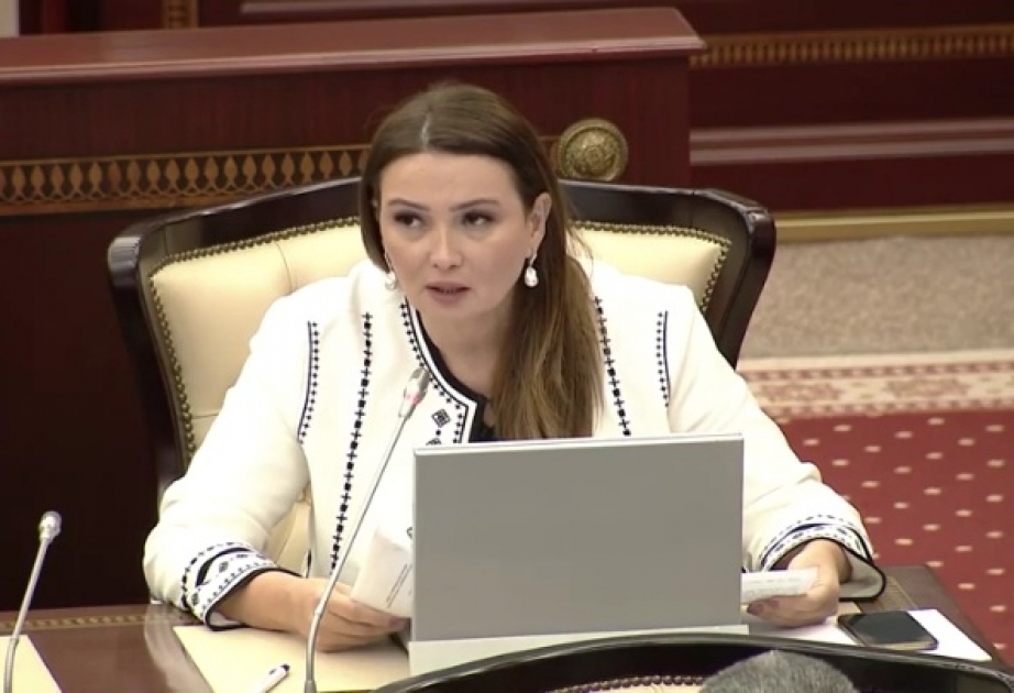 Qənirə Paşayeva: Azərbaycanın məsuliyyət modeli