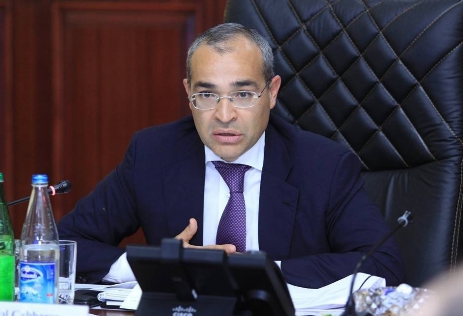 Ministro: “La financiación del Fondo Estatal de Protección Social de Azerbaiyán con cargo al presupuesto ha disminuido”