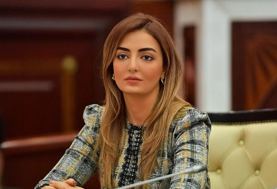 Vətən müharibəsi dövründə İtaliyanın nümayiş etdirdiyi mövqe bir çox ölkələr üçün örnək sayıla bilər