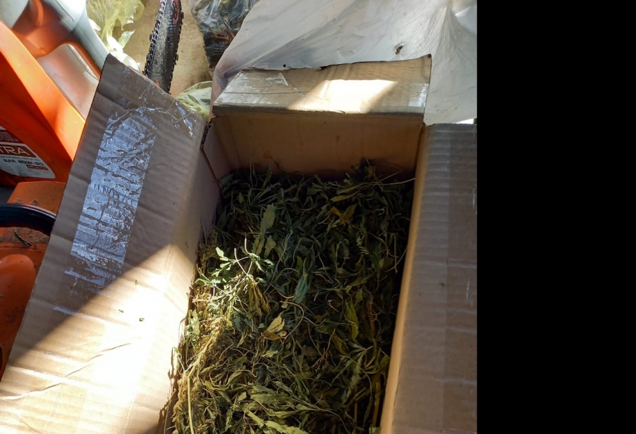 İsmayıllı rayon sakininin yaşadığı evdə narkotik vasitə və odlu silah aşkarlanıb