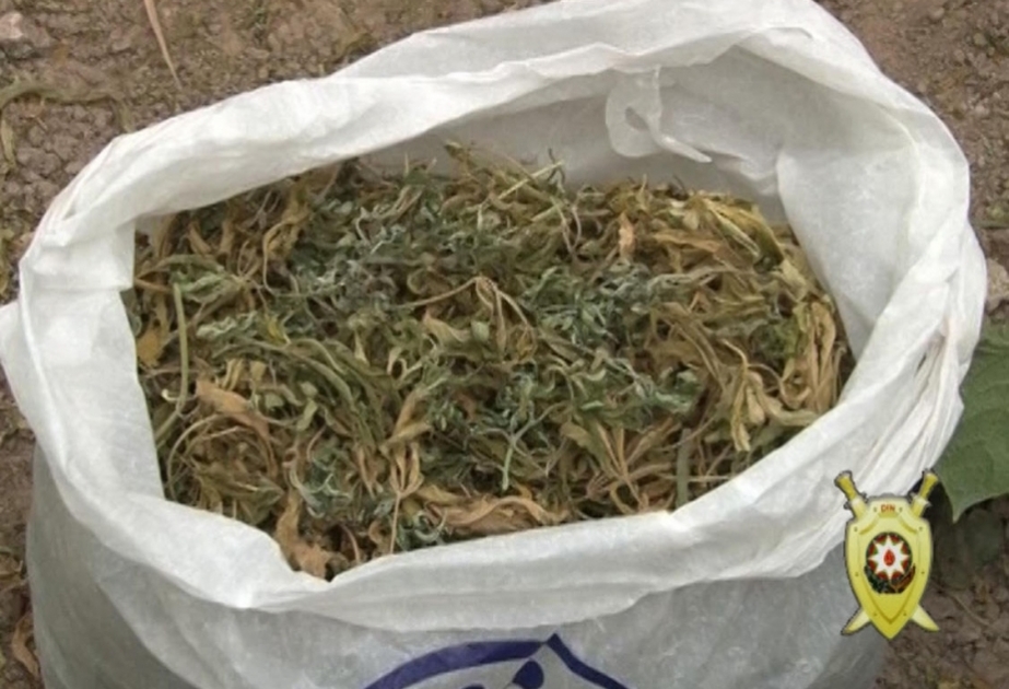 İsmayıllı rayon sakinindən dörd kiloqrama yaxın narkotik maddə götürülüb