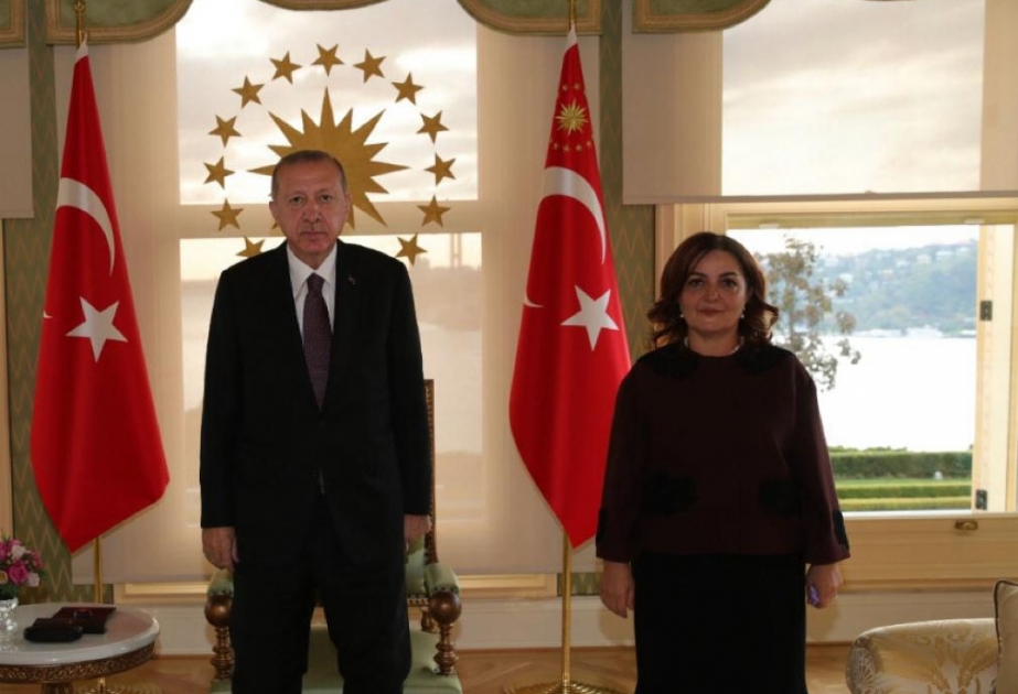 Azərbaycanlı alim Türkiyə Prezident Administrasiyasının təhlükəsizlik və xarici siyasət komissiyasının üzvü təyin olunub