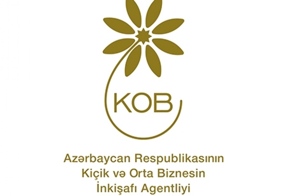 KOBİA Gənclər Təşkilatları Milli Şurası ilə əməkdaşlıq imkanlarını müzakirə edib