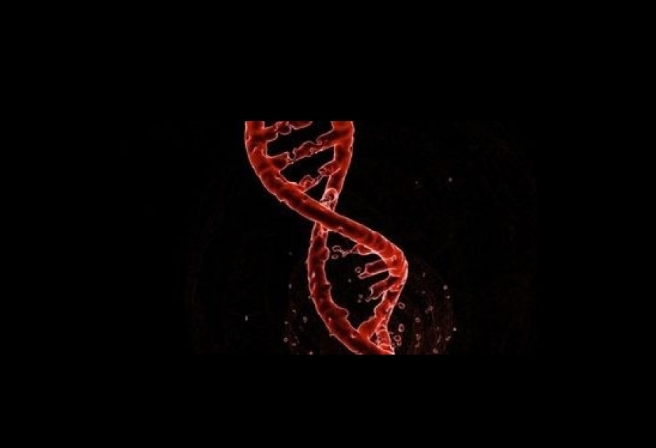 Обнаружена взаимосвязь между повреждением ДНК и хронической болезнью легких