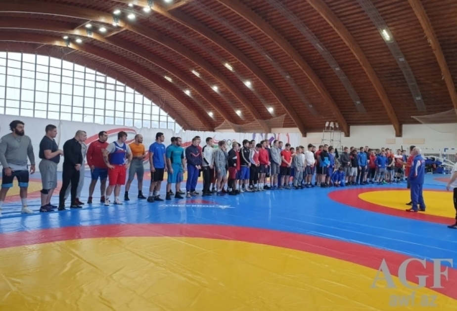 Los luchadores azerbaiyanos se preparan para el torneo de clasificación olímpica en Minsk y Makhachkala