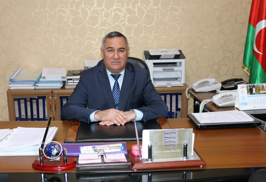Akademik İsmayıl Hacıyev: Naxçıvan Muxtar Respublikasının yaradılması tarixi nailiyyətdir