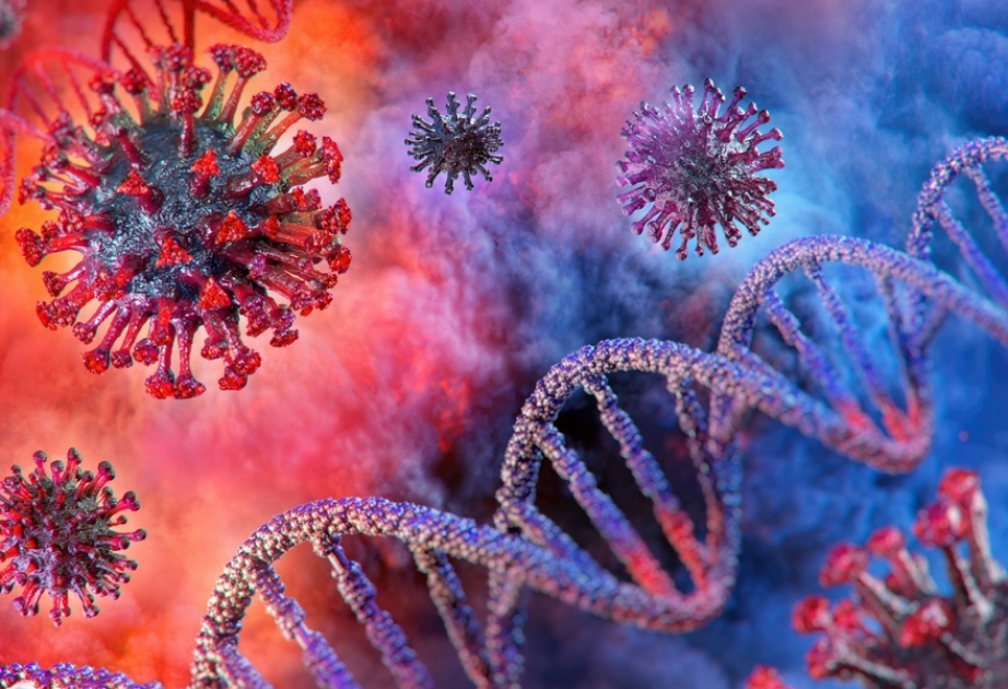 Тарик Ясаревич: Хотя мутантные вирусы более заразны, они с меньшей вероятностью приводят к летальному исходу