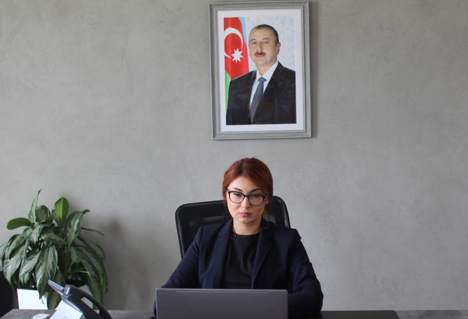 AMADA-nın direktoru onlayn beynəlxalq tədbirdə iştirak edib