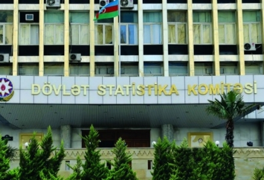 Qeyri-neft-qaz sektorunda məhsul istehsalı 12,8 faiz artıb