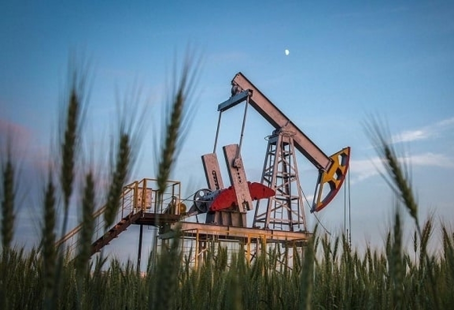 La agencia de energía de EE.UU. revisa al alza la previsión del precio del petróleo