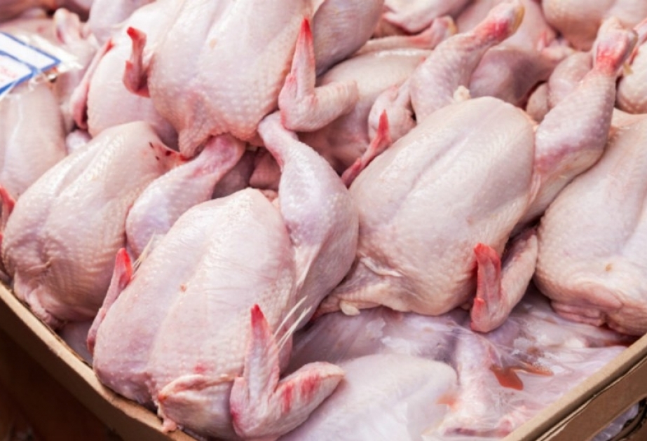 Belarusdan idxal edilən dondurulmuş toyuq məhsullarında salmonella aşkarlanıb