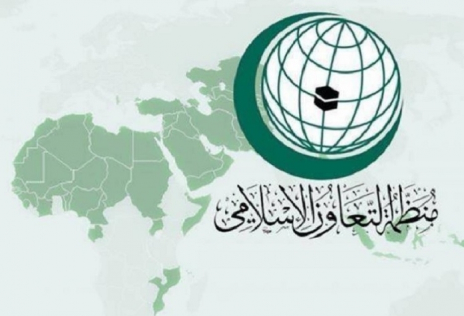 OIC commemorates International Day of Women and Girls in Science