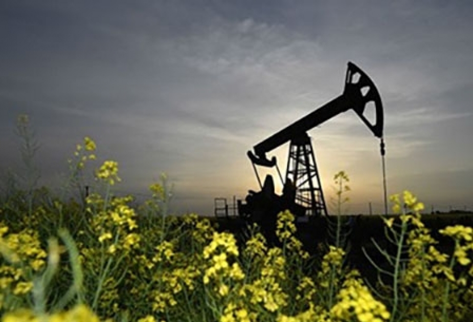 OPEC: Ötən ay qlobal neft tədarükü sutkada 93,1 milyon barreli ötüb