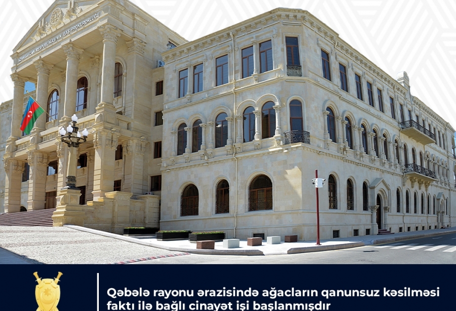 Qəbələ rayonunda ağacların qanunsuz kəsilməsi faktı ilə bağlı cinayət işi başlanıb
