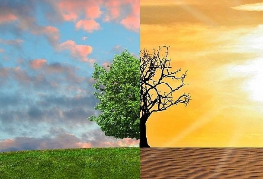 Las restricciones de cuarentena en todo el mundo no han frenado el calentamiento climático