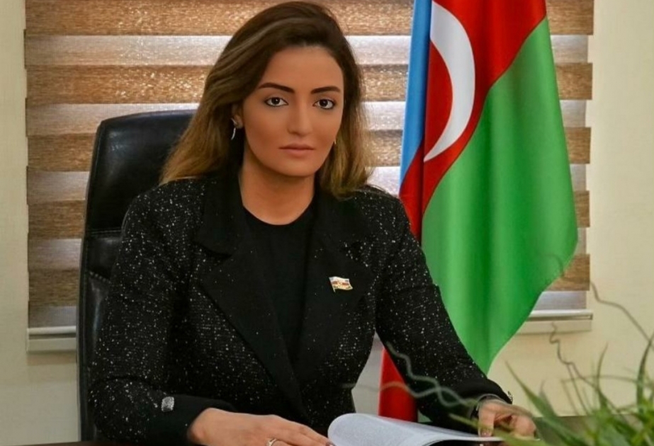 Azərbaycan Prezidentinin Münhendə və digər beynəlxalq tribunalarda etdiyi çıxışlar Vətən müharibəsində real nəticəyə çevrildi