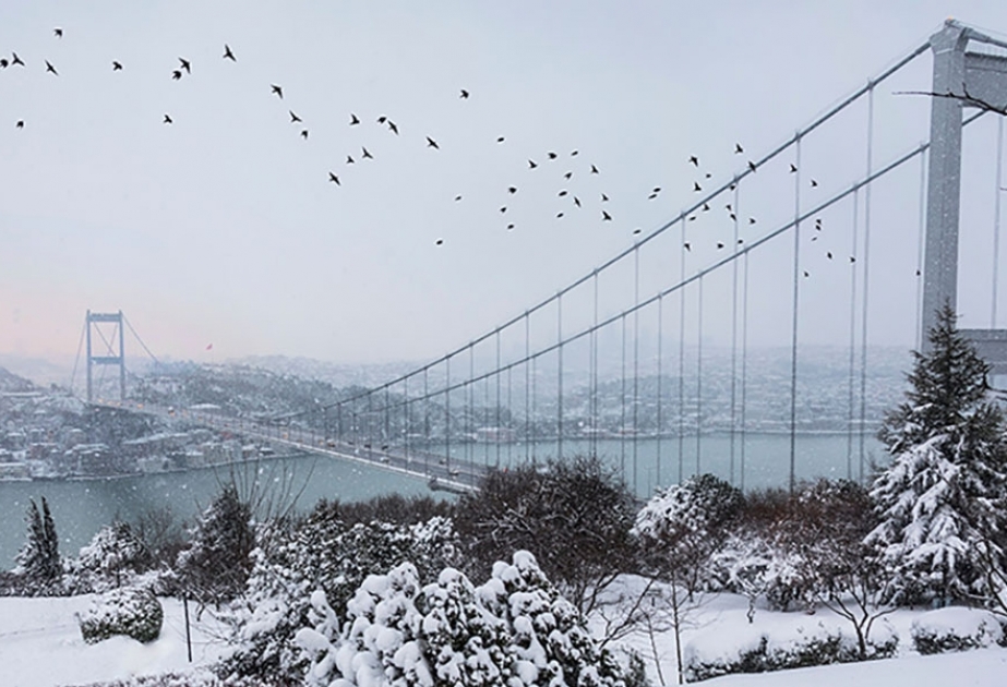 İstanbulda yağan güclü qar bir sıra fəsadlara səbəb olub