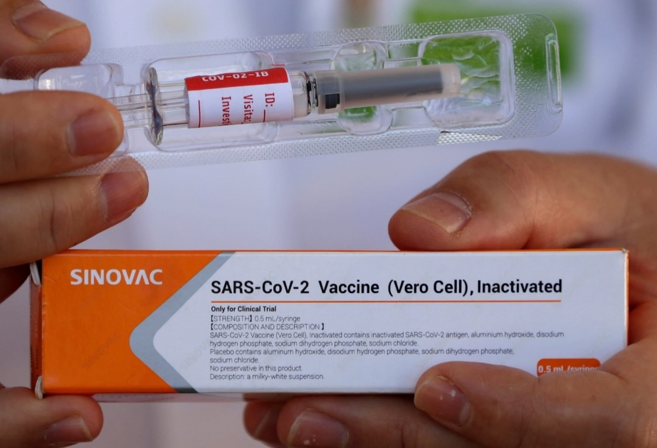 Эффективность вакцины CoronoVAC составляет 92 процента
