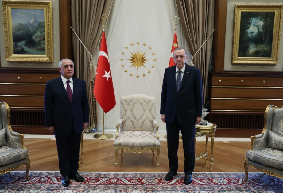 Presidente turco y primer ministro azerbaiyano mantienen una reunión