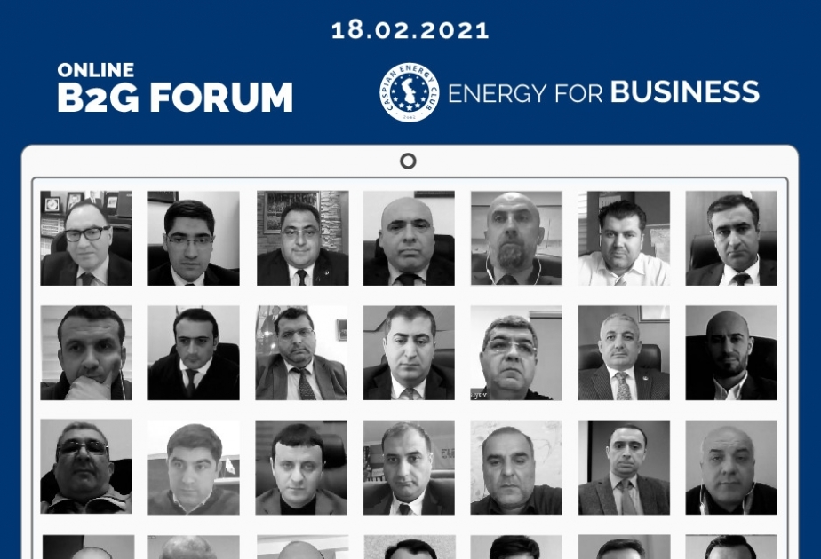 Caspian Energy Club организовал очередной Online B2G Forum