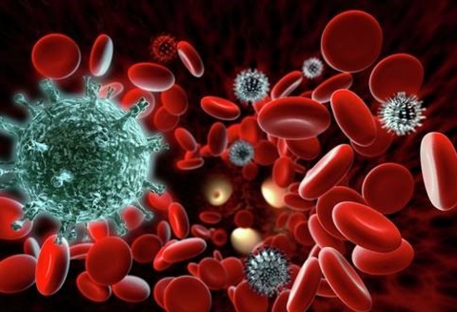 Австралийские ученые оценили скорость исчезновения иммунитета после COVID-19