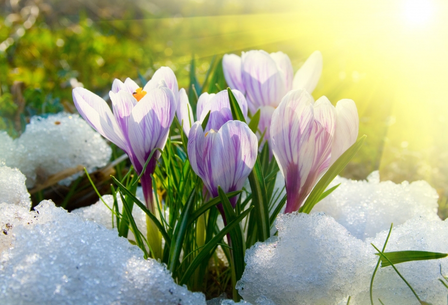 Novruz soraqlı çərşənbələr ayı – Boz ay
