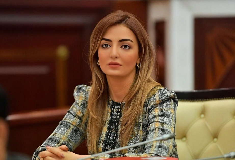Azərbaycan-Türkiyə ortaq media platforması informasiya müharibəsi dövründə strateji xarakter daşıyır
