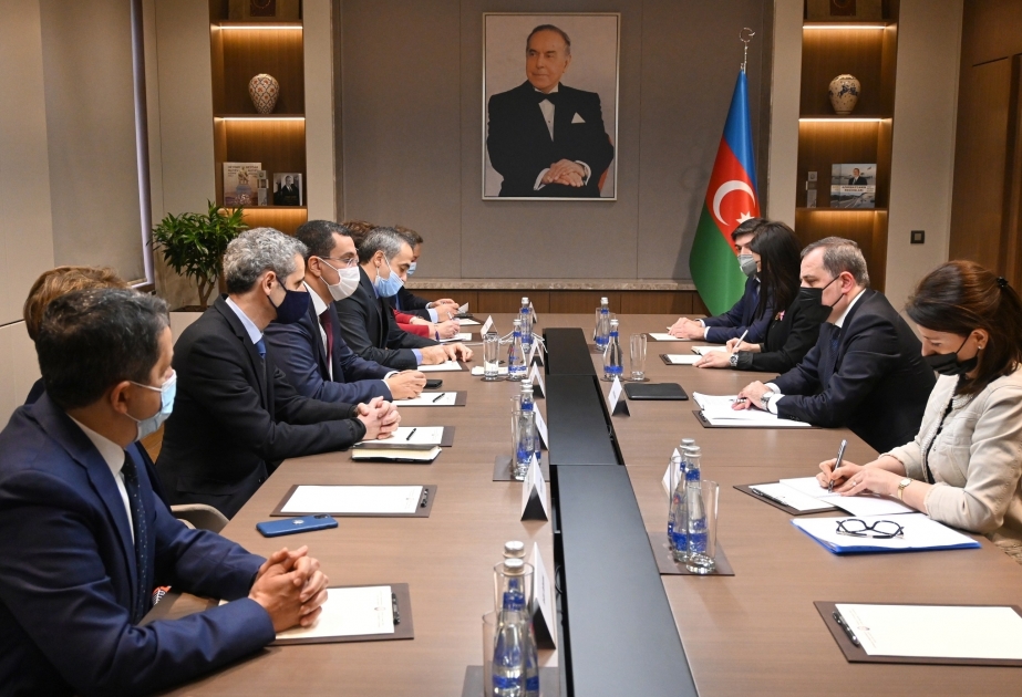 Azerbaijan’s FM meets with members of French National Assembly delegation