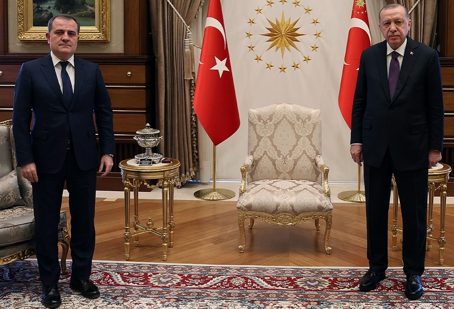 Türkiyə Prezidenti Azərbaycanın xarici işlər nazirini qəbul edib VİDEO