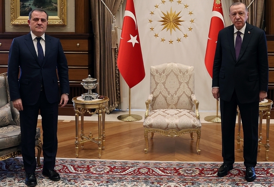 Президент Турции принял министра иностранных дел Азербайджана