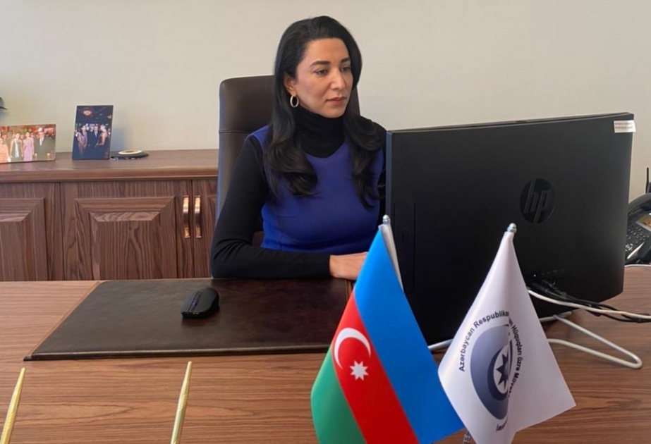 Avropa Şurası ilə qarşılıqlı əməkdaşlıq çərçivəsində Ombudsman təsisatının həyata keçirdiyi layihələr müzakirə olunub