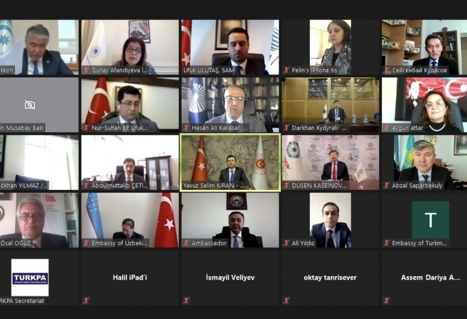 Gunay Afandiyeva asiste al webinario titulado "Las repúblicas turcas en el 30º aniversario de su independencia: Ayer, hoy y mañana"