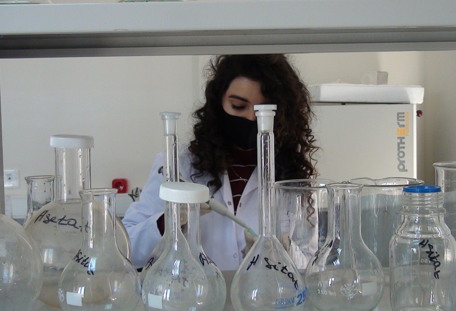 Torpağa bitkiyə uyğun gübrə norması verilərsə, məhsuldarlıq da artacaq -  Aqrokimya laboratoriyasından reportaj VİDEO