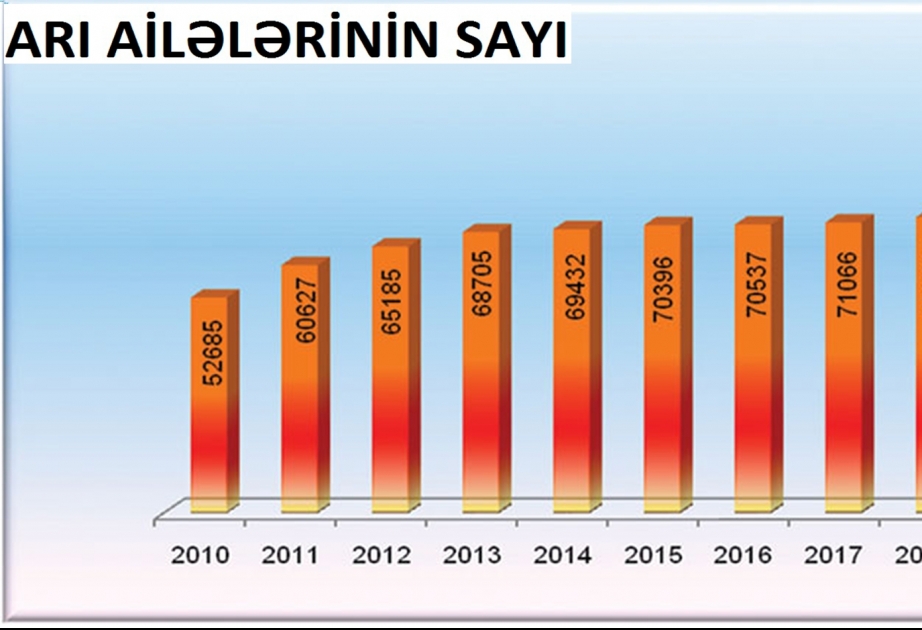 Muxtar respublikada ötən il 20 yeni arıçılıq təsərrüfatı yaradılıb, 1485 ton bal istehsal olunub