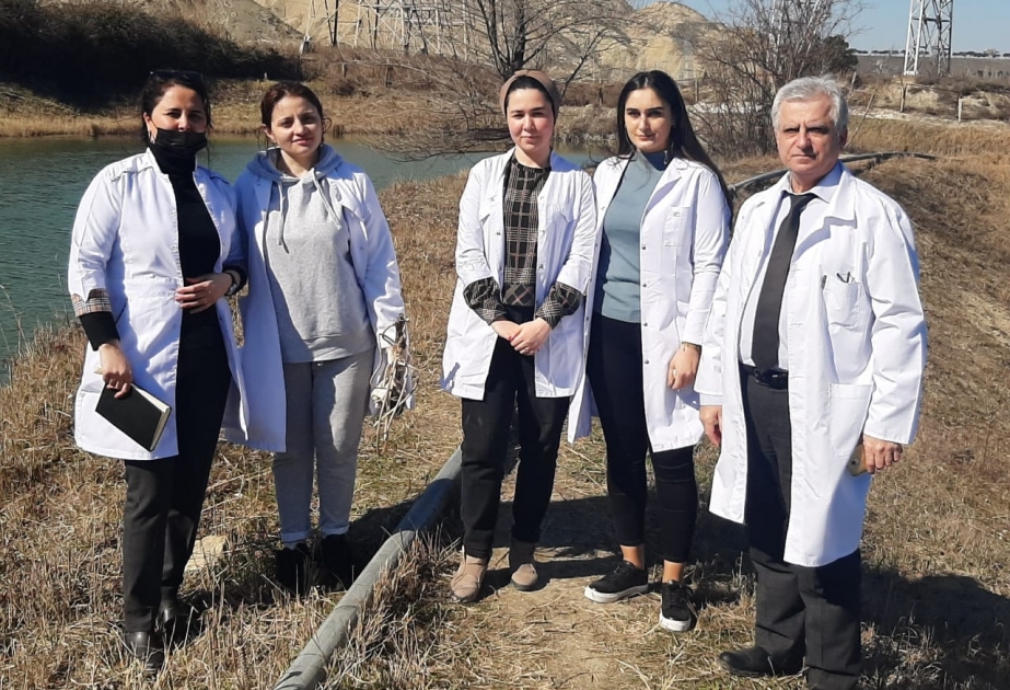 BDU-nun tələbələri Zoologiya İnstitutunda istehsalat təcrübəsi keçirlər