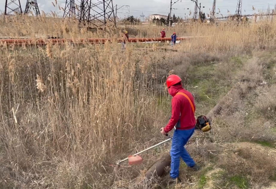 FHN-in Dövlət Yanğın Nəzarəti Xidməti təhlükəsizlik tədbirlərini davam etdirir