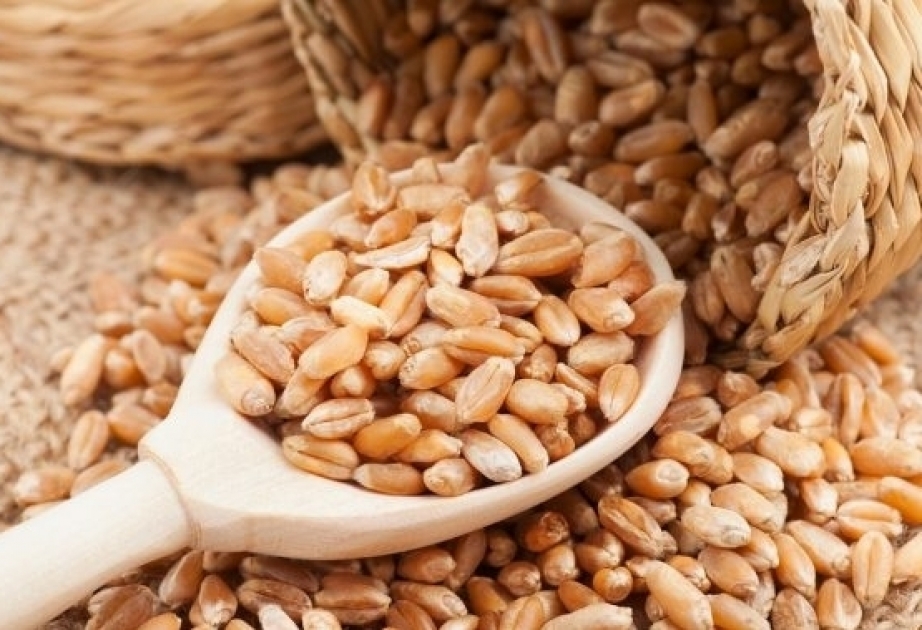 Azerbaïdjan : les importations de blé en baisse