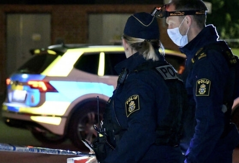 İsveçdə polis basqını nəticəsində məşhur rəssamların əsərləri ələ keçirilib