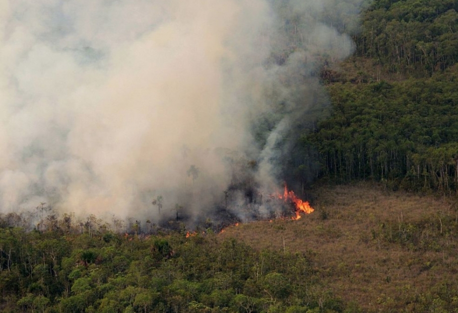 Дым от лесных пожаров для здоровья человека гораздо вреднее, чем автомобильные выхлопные газы