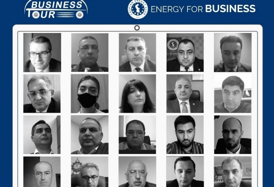 Caspian Energy Club arranges Online Business Tour to DOST agency