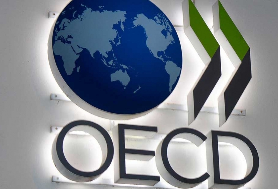 OECD raises 2021 global growth forecast to 5.6 pct