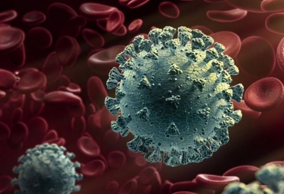 Cepa británica de coronavirus ha sido encontrada en 111 países