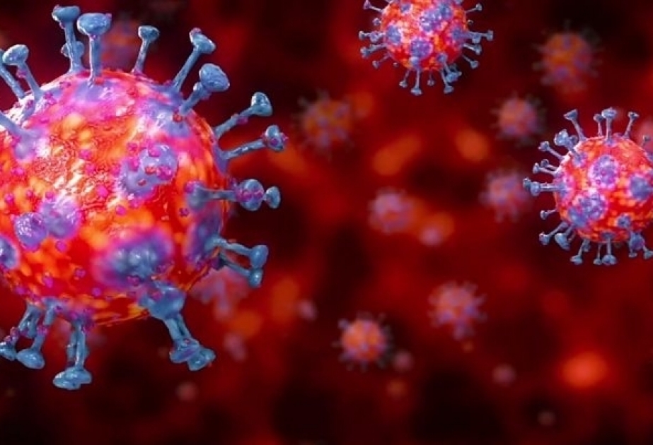 3月1日至7日阿塞拜疆新增新冠病毒感染病例2231例