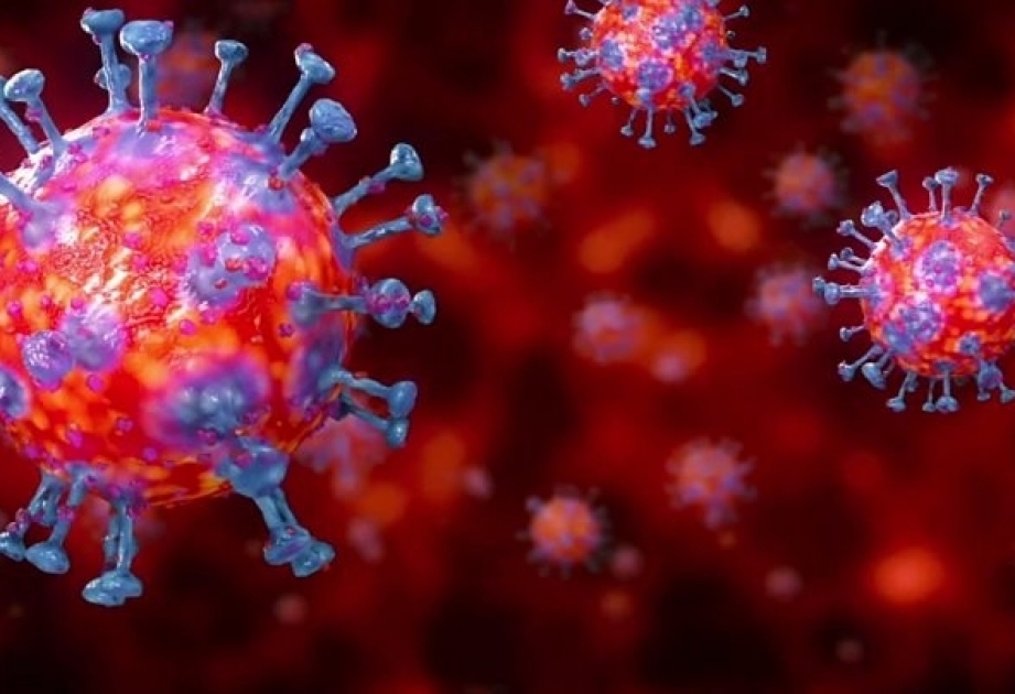 Azerbaiyán registró 2.231 casos de infección por COVID-19 en la última semana