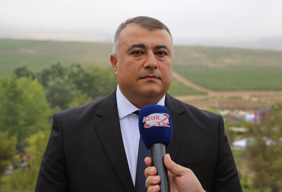 Vahid sahədə vahid əkin -  fermer əməkdaşlığının yeni modeli yaradılır
