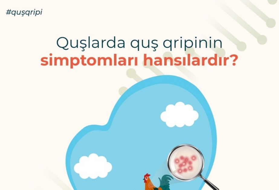 Quş qripi xəstəliyi ilə əlaqədar diqqət olunmalı məsələlər