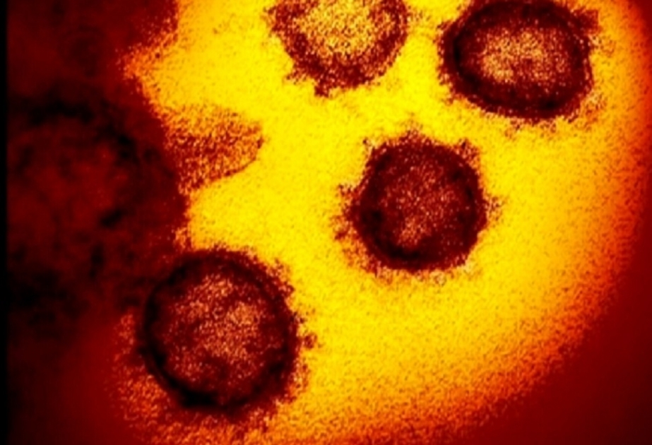 Yaponiyaya Filippindən gəlmiş şəxsdə koronavirusun yeni ştammı aşkar edilib